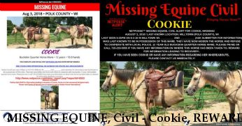 MISSING EQUINE, Civil - Cookie, REWARD  - RESOLVED 8/6/18 Near Milltown, WI, 54848